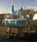 Crossen_pisces3_20120608