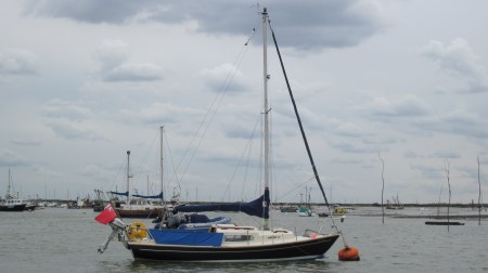 giovanna2_TCalcutt_201411