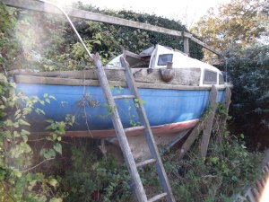 mk1_DPryceJones1_201411