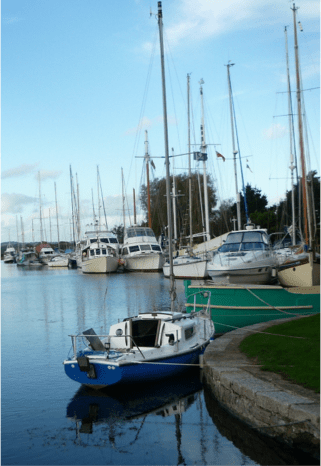 Suzie2_JLewis_201403