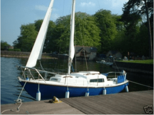 Suzie4_JLewis_201403