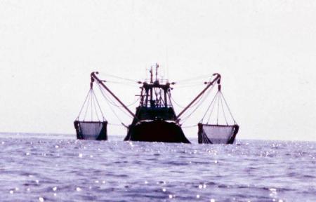 20090727_AZ0109_MikeSpring 20090727_AZ0109_MikeSpring