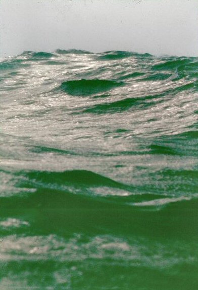 20090727_AZ0113_MikeSpring 20090727_AZ0113_MikeSpring