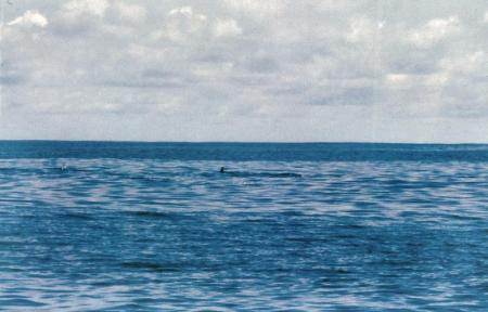 20090727_AZ0122_MikeSpring 20090727_AZ0122_MikeSpring