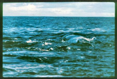 20090727_AZ0123_MikeSpring 20090727_AZ0123_MikeSpring