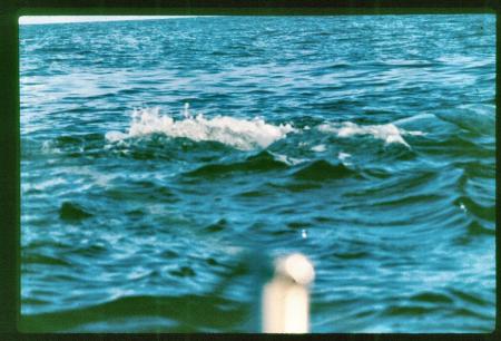 20090727_AZ0127_MikeSpring 20090727_AZ0127_MikeSpring