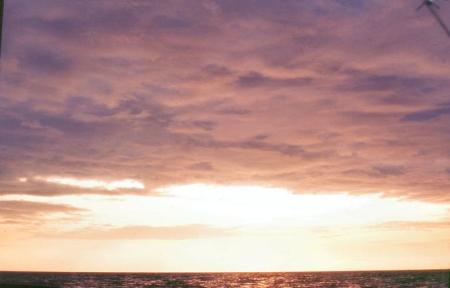 20090727_AZ0134_MikeSpring 20090727_AZ0134_MikeSpring