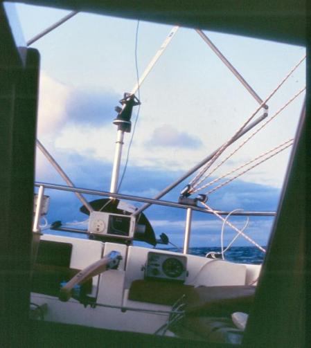 20090727_AZ0145_MikeSpring 20090727_AZ0145_MikeSpring