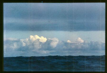 20090727_AZ0149_MikeSpring 20090727_AZ0149_MikeSpring