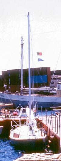 20090727_AZ0211_MikeSpring 20090727_AZ0211_MikeSpring