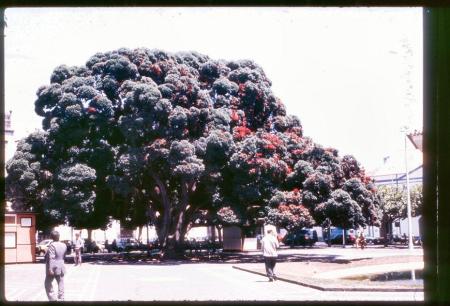 20090727_AZ0219_MikeSpring 20090727_AZ0219_MikeSpring