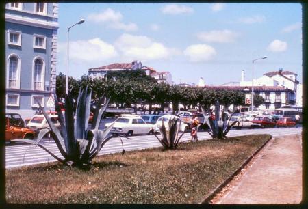 20090727_AZ0220_MikeSpring 20090727_AZ0220_MikeSpring