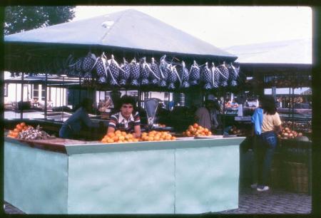 20090727_AZ0230_MikeSpring 20090727_AZ0230_MikeSpring