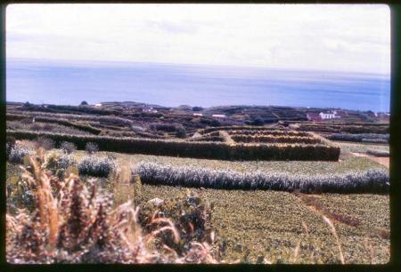 20090727_AZ0232_MikeSpring 20090727_AZ0232_MikeSpring