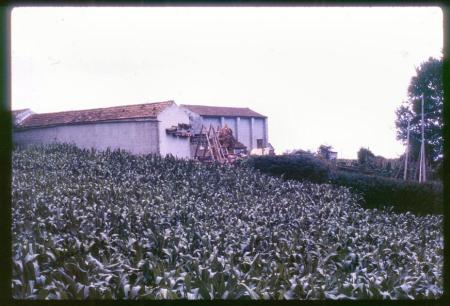 20090727_AZ0233_MikeSpring 20090727_AZ0233_MikeSpring