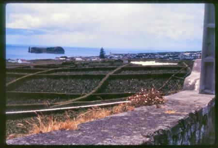 20090727_AZ0236_MikeSpring 20090727_AZ0236_MikeSpring