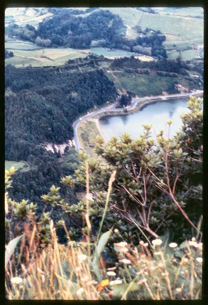 20090727_AZ0251_MikeSpring 20090727_AZ0251_MikeSpring