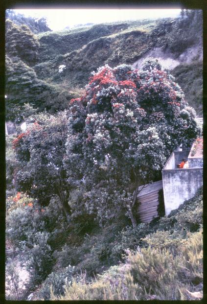 20090727_AZ0301_MikeSpring 20090727_AZ0301_MikeSpring