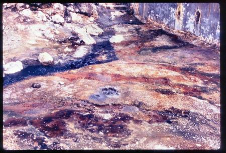 20090727_AZ0309_MikeSpring 20090727_AZ0309_MikeSpring