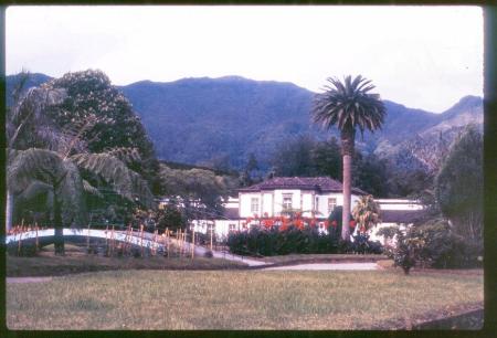 20090727_AZ0310_MikeSpring 20090727_AZ0310_MikeSpring