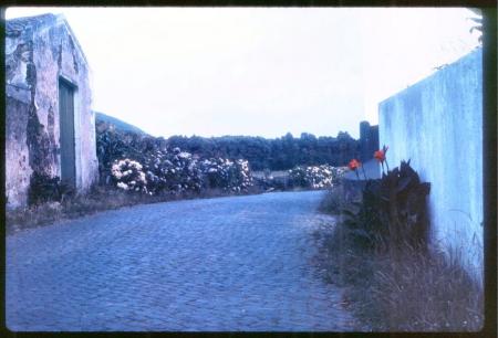 20090727_AZ0320_MikeSpring 20090727_AZ0320_MikeSpring