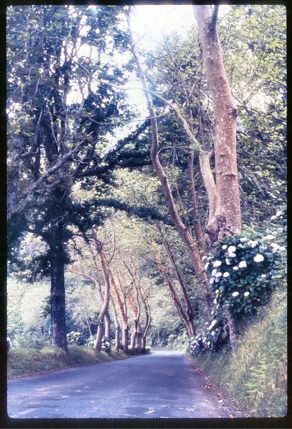 20090727_AZ0324_MikeSpring 20090727_AZ0324_MikeSpring