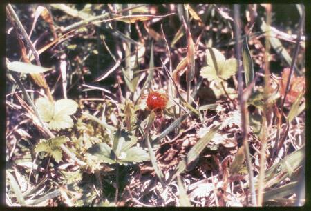 20090727_AZ0329_MikeSpring 20090727_AZ0329_MikeSpring