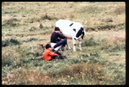 20090727_AZ0340_MikeSpring 20090727_AZ0340_MikeSpring