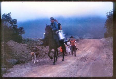 20090727_AZ0341_MikeSpring 20090727_AZ0341_MikeSpring