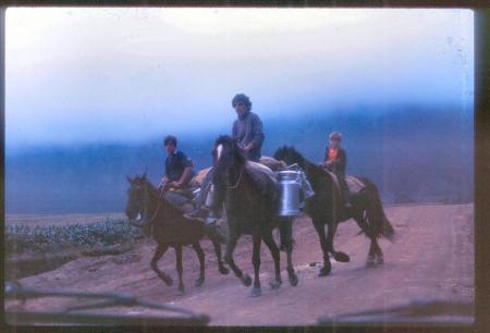 20090727_AZ0342_MikeSpring 20090727_AZ0342_MikeSpring