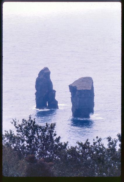 20090727_AZ0343_MikeSpring 20090727_AZ0343_MikeSpring