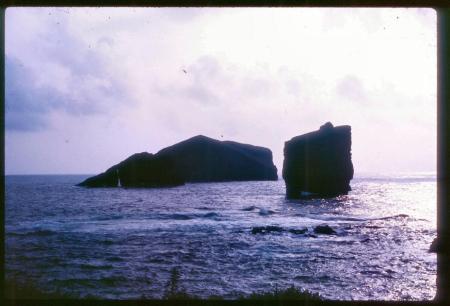 20090727_AZ0344_MikeSpring 20090727_AZ0344_MikeSpring