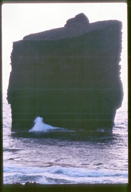 20090727_AZ0345_MikeSpring 20090727_AZ0345_MikeSpring