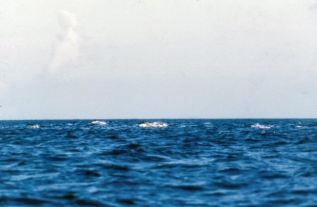 20090727_AZ0417_MikeSpring 20090727_AZ0417_MikeSpring