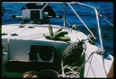 20090727_AZ0422_MikeSpring 20090727_AZ0422_MikeSpring