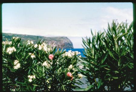 20090727_AZ0427_MikeSpring 20090727_AZ0427_MikeSpring