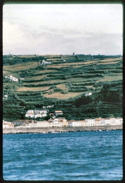 20090727_AZ0434_MikeSpring 20090727_AZ0434_MikeSpring