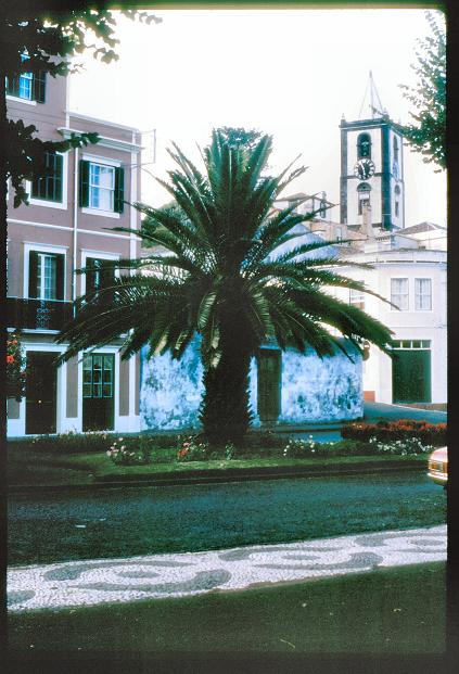 20090727_AZ0436_MikeSpring 20090727_AZ0436_MikeSpring