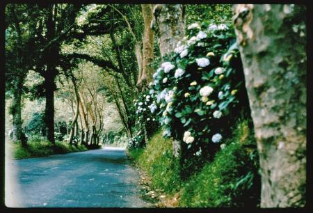 20090727_AZ0531_MikeSpring 20090727_AZ0531_MikeSpring