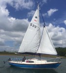 Poppy_ATetley_02_201910