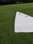 DWalsgrove_MainSail03_202108