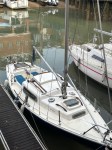 MDooley_Baladin81_0526